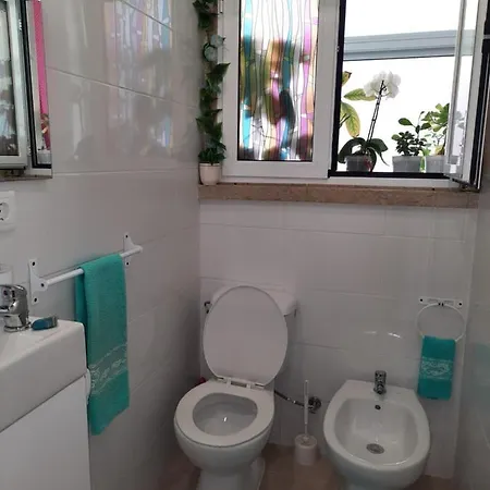 Homestay Ameli